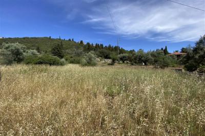 Lygia Walk Beach 02.jpg